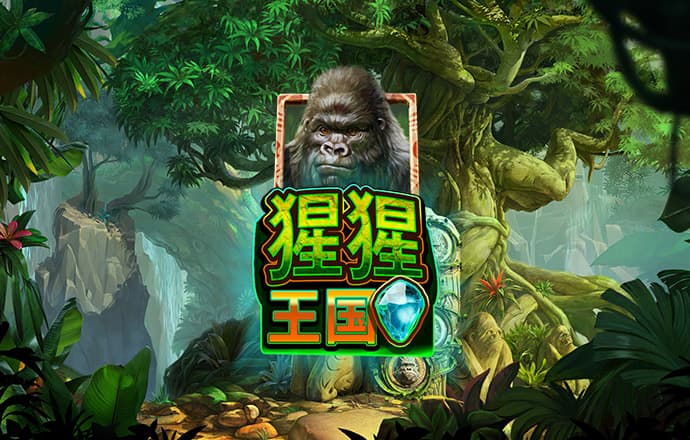 网红张美丽涉寻衅滋事罪被捕